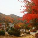 자유인의 카라반 이미지