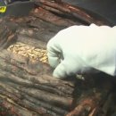 마동국수 이미지