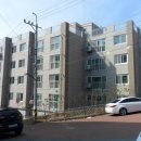 대남대로 이미지