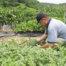 남궁농장 이미지