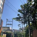 11 일요일 국룰 코스(코코넛마켓/찡짜이마켓/Zmoy카페/블루누들/쿤카마사지샵/쿤무무끄라타/마호리재즈바)