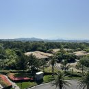 씨 사이드 뷰 이미지