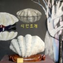 제주화석박물관 이미지
