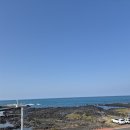 별방진 | 제주 유채꽃 명소 🌼 바다랑 같이 보는 꽃뷰, 별방진 다녀온 후기