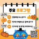 "할로윈 호박은 잊어주세요"… K-전통과 '제로 웨이스트'로 뭉친 '호박 헌터스'