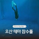 프리다이빙 강사 추천 오산 테마 잠수풀 방문 후기