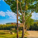 십리대밭교 화장실 이미지