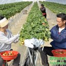 김용선 농장 이미지