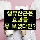 헬스라인 | 아뮤산 유산균 효능 약국 추천 파는곳 후기 정리