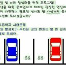 넌센스 Daum카페