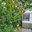 똑똑풀빌라 독채펜션 이미지