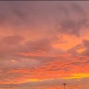 고성천진한신더휴부동산 공인중개사사무소 이미지