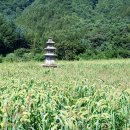 진흥2농장 이미지