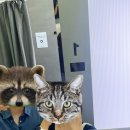 배방읍 북수서로 이미지