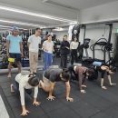 HEY, HONEY, WORKOUT! | 애니멀플로우 배우기 ㅣ 아크로요가크루 애니멀플로우 그룹수업 후기ㅣ동대문구 장한평역 헤이허니워크아웃