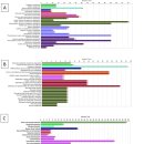 Re: 대퇴골두 무혈성 괴사증은 전신 system 질환이다.. 2020년 nature 이미지