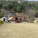 헬로우댕댕 이미지