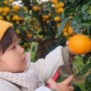 신기농원 이미지