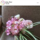 조이플레르