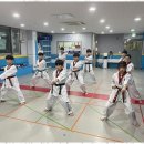 성실 태권도 이미지