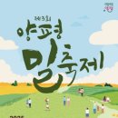 2025 제3회 양평 밀축제 (양평밀경관단지) 참관후기