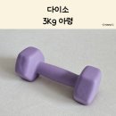 홈트 근력운동 | 다이소 아령 3kg 후기 - 여자 홈트 근력운동 입문에 딱 좋은 가성비 덤벨