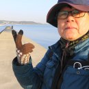 안산-대부-대부-4 이미지