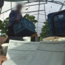 이정자 농장 서울경제
