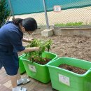 도봉농장 이미지