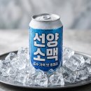 (주)선양종합관리 | 선양 소맥 캔 가격 도수 맛 포인트: 편의점 신상 솔직 후기 정리