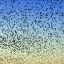 대숲속으로 이미지