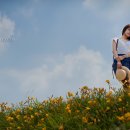 수성랜드 이미지