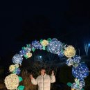 클린인베트팡팡월드 | 예산 스플라스 리솜 올인클루시브 후기(최고다❤️)