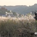 장암 송죽 억새길 이미지