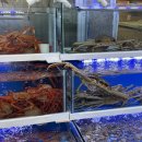 정라진 | 삼척대게왕 : 삼척 정라진 홍게, 대게맛집 내돈내산 솔직후기