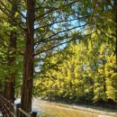 세븐일레븐 광릉수목원점 이미지