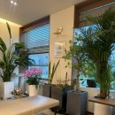 승기배내과의원 이미지