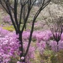 꽃동산 유치원 이미지