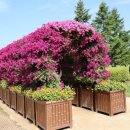 첨성대 화장실 이미지