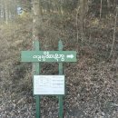 평화목장 | 대관령양떼목장 이용방법 &amp; 아이와 함께한 자세한 방문 후기