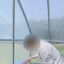 덕형목장 | 강릉 당일치기 여행 한국의 알프스 대관령 양떼목장 꿀팁 후기
