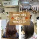 기초데생 | 가을맞이 톤다운염색 성신여대 미용실 가예실장님후기 애쉬브라운