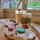 진주 디저트 맛집 하대동 마카롱 카페 봉선당
