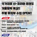 국가대표 신-코리아 태권도장 이미지