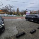 아인 | 홍성꽃집아인플로라꽃바구니솔직후기