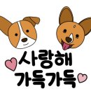 동행동물의료센터 이미지