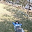 신안자연휴양림 티스토리