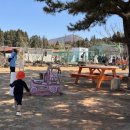 [제주/애월] 제주 서쪽 아이랑 가볼만한곳 ‘새별프렌즈’ 입장료할인, 소요시간, 근처 맛집 추천