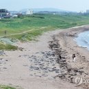신양사