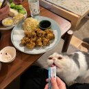 홍담 티스토리